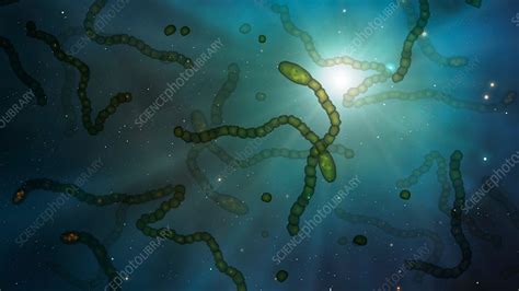 Microbes In Space Illustration Stock Image F0209540 Science