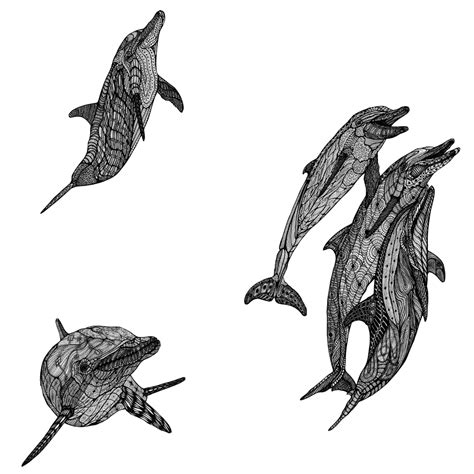Dolphins Δeltakappadesign