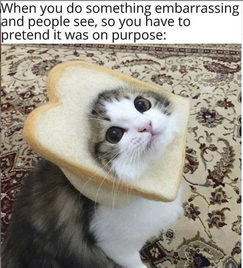 These Adorable Animal Memes Will Make Your Heart Sing Nothing To See