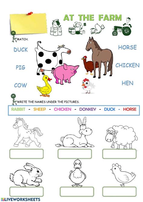 Farm Animals Interactive Worksheet Animal Worksheets Kindergarten