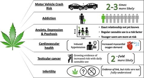 Shifting The Paradigm On Cannabis Safety Cannabis And Cannabinoid