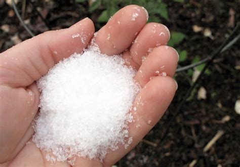Adding Epsom Salts To Your Garden And Lawn Claims Vs Facts ⋆ Big Blog