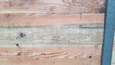 Dan kunnen schimmels ontstaan, die houtrot kunnen veroorzaken. schimmels op douglas hout | Woodworking.nl