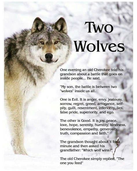 Two Wolves Two Wolves Wolf Quotes The One You Feed
