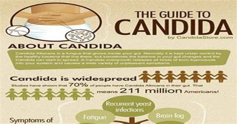 The Guide To Candida Infographic Infographics