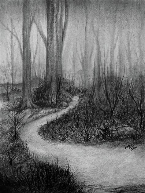 Walk In The Woods Drawing By Laura Teti Fine Art America