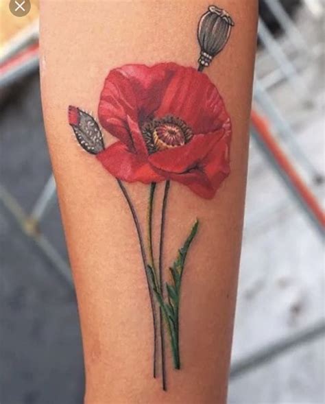 Pin By Kenneth Underwood On Tattoos Poppy Flower Tattoo Poppies
