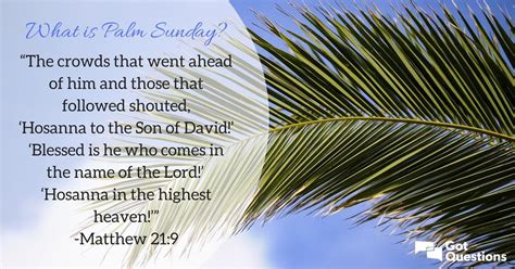 What Is Palm Sunday Why Did The People Put Palm Branches Before Jesus