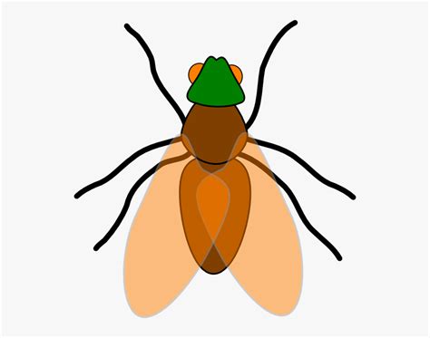 Bugs Flying Cliparts Fly Insect Clipart Hd Png Download Kindpng