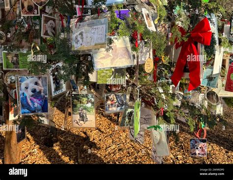 New York, New York, USA. 29th Dec, 2023. A view of the secret Pet