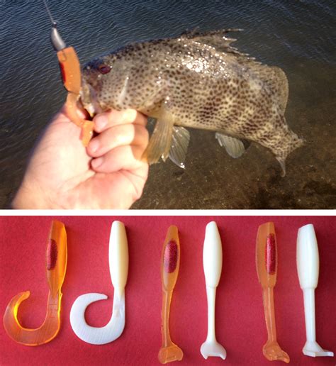 Diy Fishing Lures From 3d Printed Models And Silicone Molds