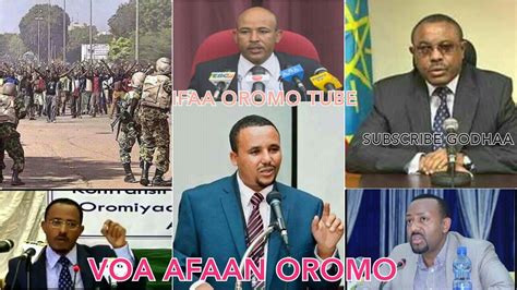 Voa Afaan Oromo Feb202018 Youtube