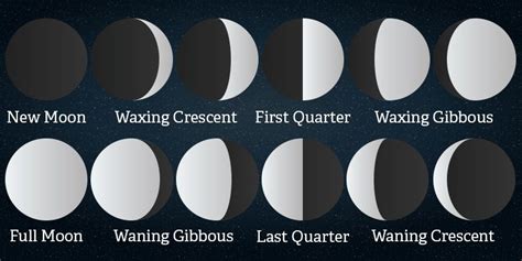 月の事実：月（またはルナ）についての興味深い事実 Turner Blog
