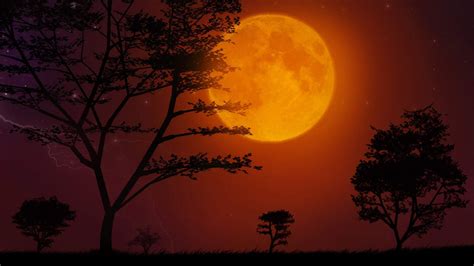 Free Download Super Moon Exclusive Hd Wallpapers 5258 1920x1200 For Your Desktop Mobile