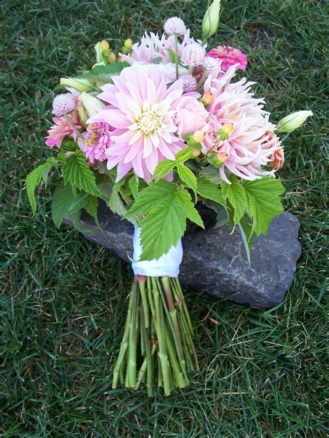 A wide variety of zinnia flowers options are available to you, such as material, use, and occasion. pink dahlias and zinnias bouquet (With images) | Zinnia ...