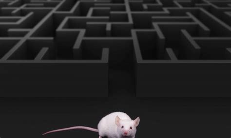 Stock to flow is defined as a relationship between production and current stock that is out there. PlanB's Bitcoin Stock to Flow Model Explained: Valuing ...