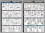 Dumbbell Exercises Photos