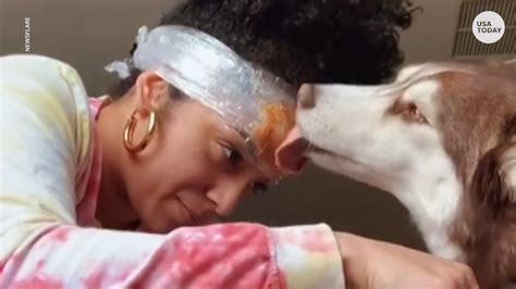 Dogs Lick Peanut Butter Off Owners Head As She Cuts Their Nails