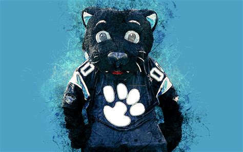 Download Wallpapers Sir Purr Official Mascot Carolina Panthers 4k