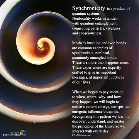 Synchronicity Is A Product Of Quantum Systems Quantum Physics