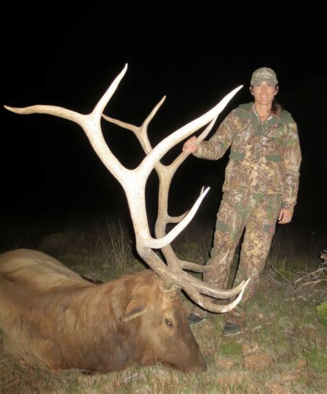 Jay Scott Outdoors Unit 9 Arizona Elk Hunt Success Photos