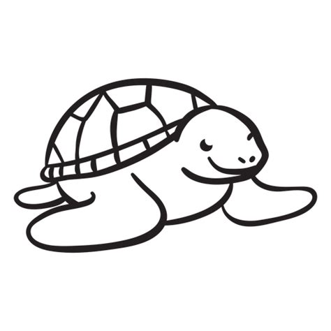 Turtle Outline Svg