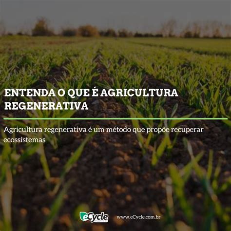 Entenda o que é agricultura regenerativa eCycle Agricultura