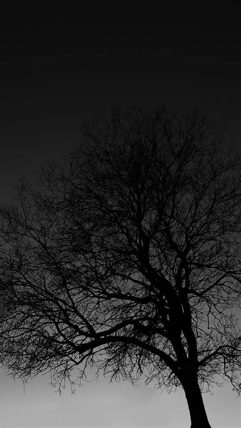 Dark Iphone Black Tree Black Aesthetic Black Background Black And