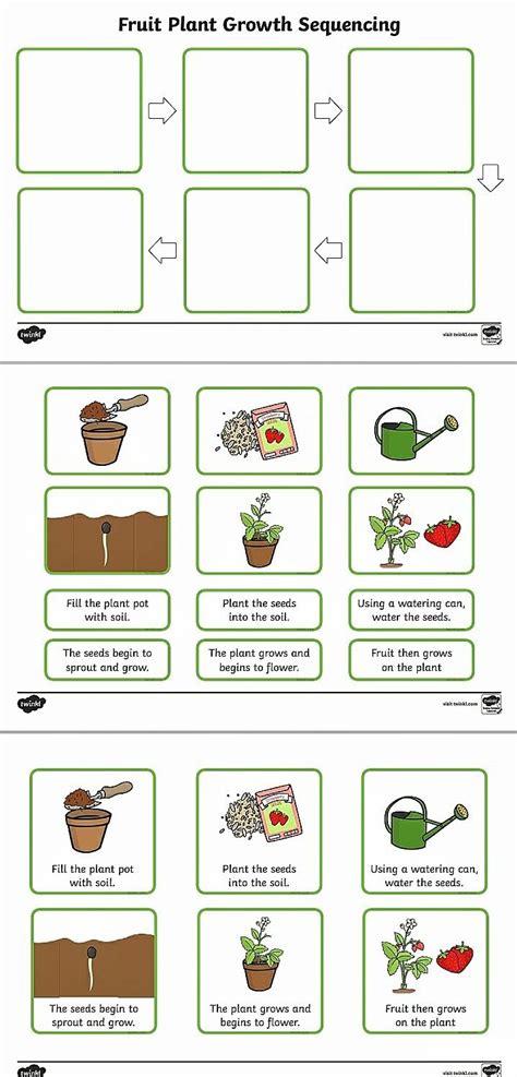 Ks2 Plant Growth Sequencing Plant Lifecycle Printable Worksheet