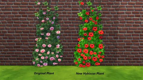 Sims 4 Ccs The Best Flowers Of The Tropics Hibiscus By Snowhaze