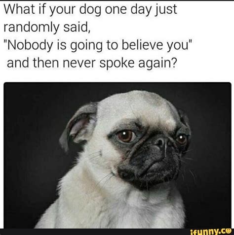 What If Your Dog One Day Just Randomly Said Nobody Is Going To