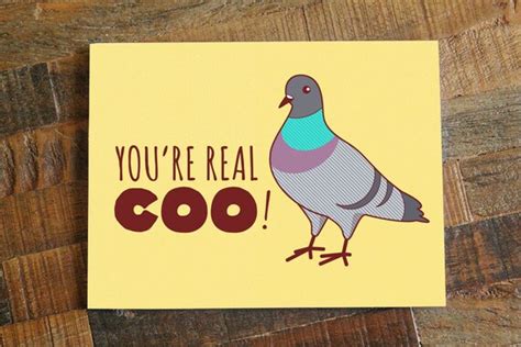 Funny Greeting Card Youre Real Coo Pigeon