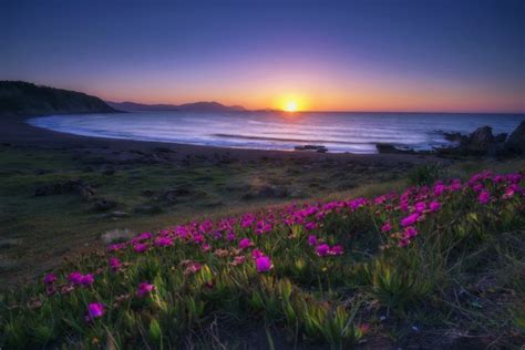 Wallpaper Sunset Purple Flowers Ocean Waves Coast Sky