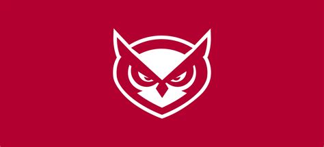 Temple University Owl Mascot Redesign
