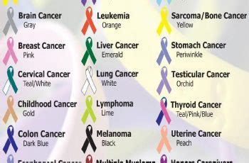 Orange represents kidney cancer and leukemia. Kras Mutation Lung Cancer Treatment - Cancer News Update