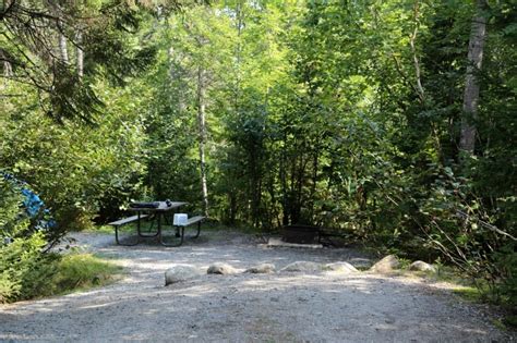Being able to wake up in the woods and start your day surrounded by the beauty of maine is truly a park experience you don't want to miss. Acadia National Park Camping | Park Ranger John