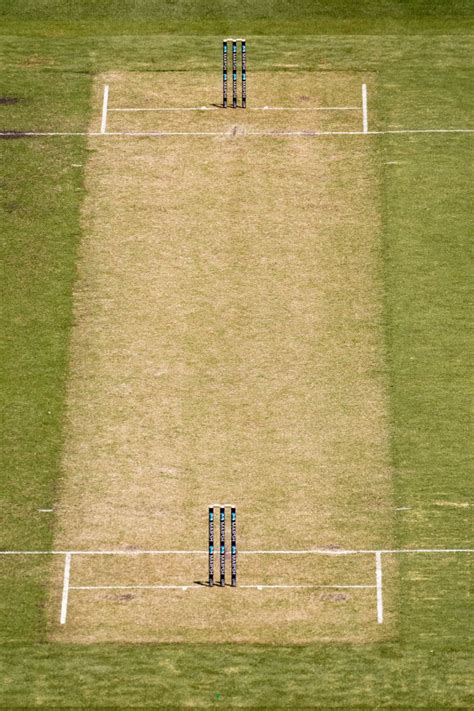 What Makes A Perfect Cricket Pitch