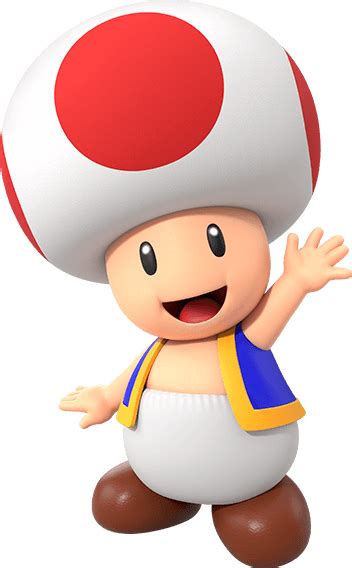 Toad Character Mariowiki Fandom