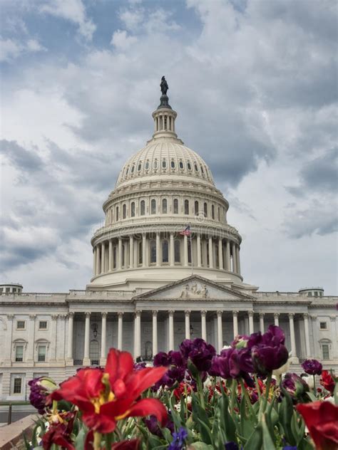 Así se inició la guerra de la independencia, durante la cual los estados unidos fueron apoyados por españa y francia, que buscaban recuperar. Capital De Estados Unidos Com Tulips Foto de Stock ...
