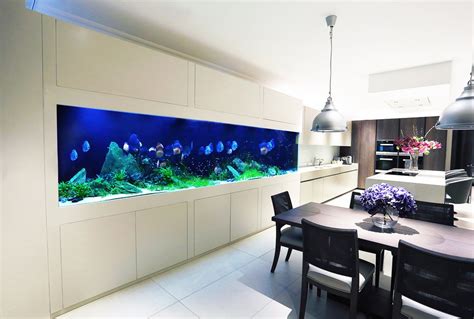 Become A Field Engineer With Aquarium Architecture Practical Fishkeeping