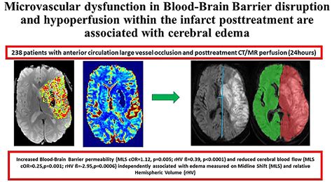 Microvascular Dysfunction In Blood Brain Barrier Disruption And