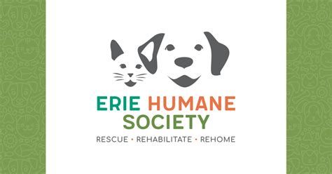 Ways To Help Erie Humane Society