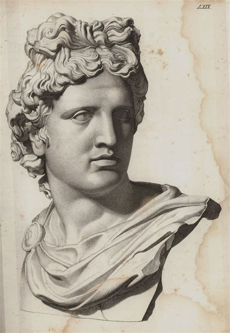 No i'm not familiar with that myth, probably read about it though, i've read a fair few on the greek god not too much on apollo though, i was a lot more interested in. The head of the statue of Apollo Belvedere, Vatican Museum ...