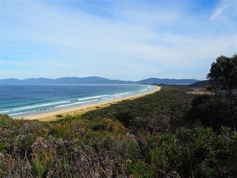 Cape Queen Elizabeth Bruny Island Updated 2021 All You Need To Know