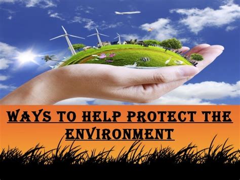 Preston Rezaee Ways To Help Save Environment