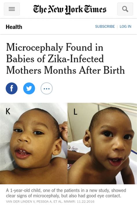pesquisa sobre o zika vírus realizada no maranhão é destaque no jornal the new york times me