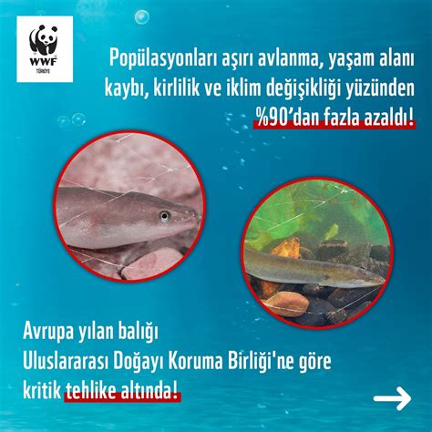 WWF TURKIYE on Twitter Uluslararası Doğayı Koruma Birliğine IUCN