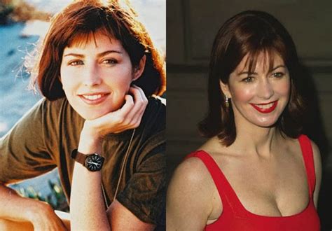 dana delaney plastic surgery botox injections before and after photos star plastic surgery