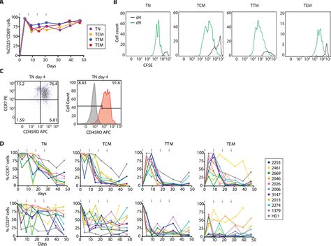 Kita tentunya sudah tidak asing dengan label merk t&j. 35 Format Tj Label 103 - Labels For You