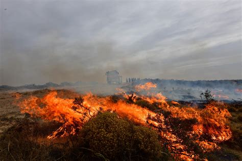 Reporte Oficial Por Los Incendios En Argentina Focos Activos En Salta